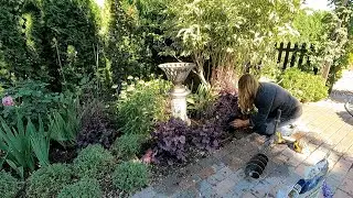 Freshening Up a Perennial Bed & Planting Lots of Veronica! 🌿💗🌿 // Garden Answer