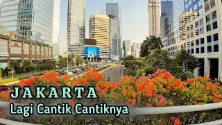 JAKARTA SEKARANG LAGI CANTIK CANTIKNYA | Jakarta, The Beautiful Capital of Indonesia