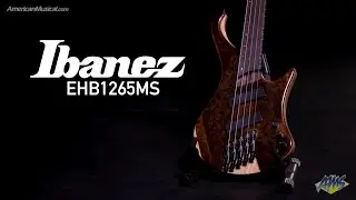 Ibanez Ergo EHB1265MS - AmericanMusical.com