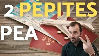 J'achète Ces Deux actions PEA et Vise x2