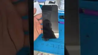 Apple iPhone 12 Pro Max screen replacement!