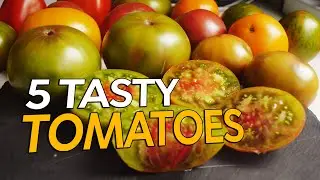 5 TASTY TOMATOES THAT ARE WORTH TRYING!