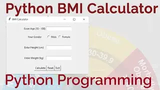 Python Programming  GUI BMI Calculator Example Code with Source Code