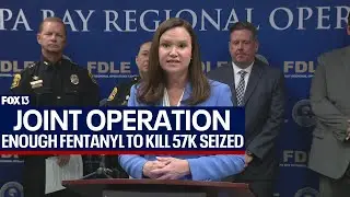 Enough fentanyl to kill nearly 60K Floridians seized