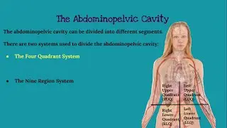 CHAPTER 1 Introduction to Anatomy and Physiology