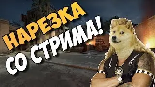 Лучший момент со стрима ЖАРКИЕ ТАНЦЫ