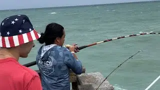 Fishing in Dania Beach Pier - Florida. Monster hammer shark. 🦈🦈🦈 #shark #fishing #florida #video