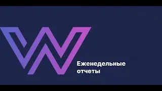 Разбор финансового отчета Еженедельный в сервисе WB Pulse