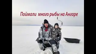 Большой улов / Ловля окуня зимой на Ангаре / Наша удачная рыбалка.