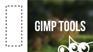 GIMP | Selection Tools Common Options