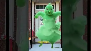 laugh dance 😂 #shorts #laugh #pet #dance #comedy