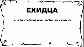 ЕХИДЦА - что это такое? значение и описание