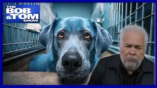 Dog Pound Blues By Pat Godwin