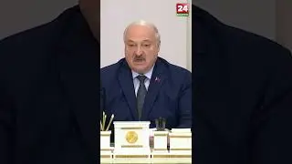 🔥Пойдут доить коров! Что предложил Лукашенко тем, кто нагнетает ситуацию в табачной отрасли?#shorts