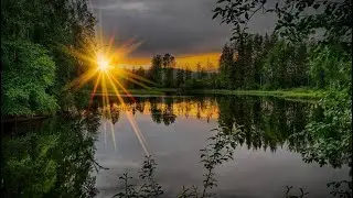 Звуки природы )) Пение птиц утром в лесу