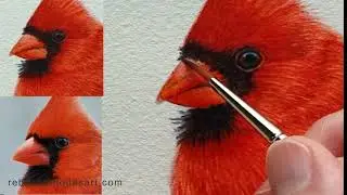 How to Paint a Cardinal in Watercolor