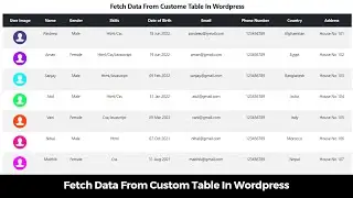 Fetch Data From Custom Table In WordPress