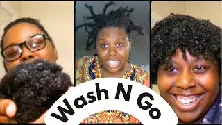 DETAILED Process | Wash N GO | It's a Hair Video!