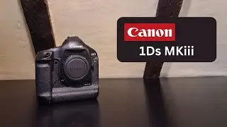 Retro Review - Canon EOS 1Ds Mark iii