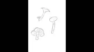 Timelapse of a Mushroom pencil sketch using procreate on iPad. #procreate #drawing #drawingwip