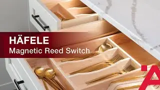 Product Introduction: Magnetic Reed Switch