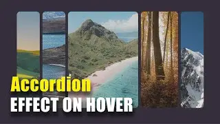 Image with Accordion Effect on Hover using CSS and HTML