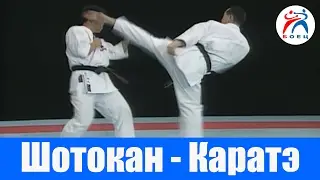 Шотокан Каратэ. Бои.