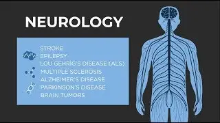 What is Neurology? - American Academy of Neurology