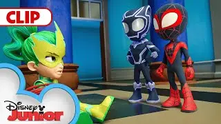 A Day With Black Panther | Marvels Spidey and his Amazing Friends | @disneyjunior