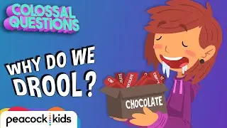 Why Do We Drool When Hungry? | COLOSSAL QUESTIONS