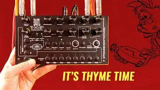 BASTL Thyme Plus - A Curious Echo Machine