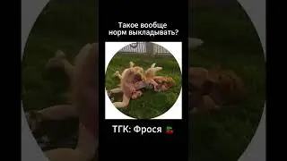 ТГК: Фрося 🍒