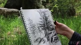 DRAWING with REAL CHARCOAL from the FIRE - The Poor Man's Pencil - Let's Draw a Landscape Drawing