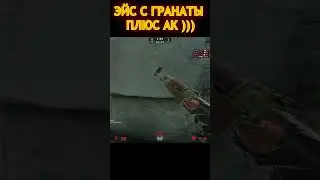 ПРИКОЛЬНЫЙ ЭЙС ПОЛУЧИЛСЯ В КС 2  