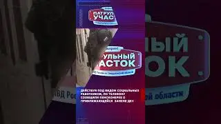 Поймали воровок