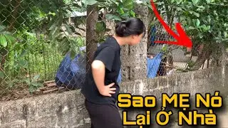 MỤ Huyền Sang Gặp Tuân Lại Gặp Mẹ Tuân Đag Ở Nhà