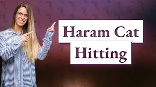 Is it haram to hit a cat?