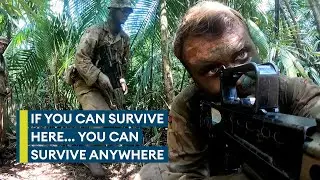 Welcome to the jungle: The British Army's brutal Belize jungle training