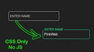 HTML CSS Input Field Text Animation|@pinkweb0 html css tutorial