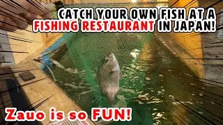 Catch your own fish at a fishing restaurant in Tokyo! Zauo is so FUN!