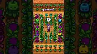 Make Your Greenhouse in Stardew Valley Even Better With This Tip! 