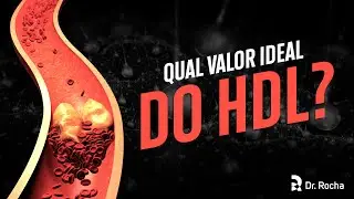 Qual o Valor Ideal Do HDL?🧐