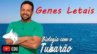 Genes Letais - Genética - Biologia com o Tubarão