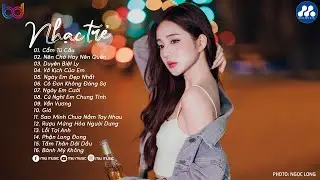 Nhạc Trẻ Ballad Việt Hay Nhất 2024 | Lk Nhạc Trẻ Mới Gây Nghiện | Nhạc Việt Hot Nhất Hiện Nay