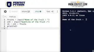 Perfect Python : Taking an input, String concatenation