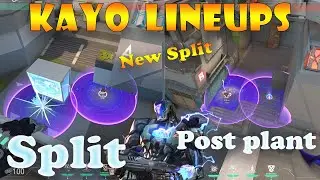 Top 15 New Split Kayo Post Plant Lineups | Kayo Lineups Split | Kayo Guide Split