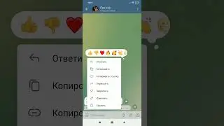 вот мой канал- https://t.me/bombovchel