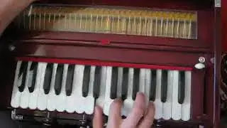 Девакинандана дас   Харе Кришна 04 Харинамная