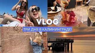 VLOG ИЗ КАЛИНИНГРАДА: УПАЛА С САПА В ОТКРЫТОЕ МОРЕ!