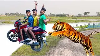 Must Watch New Special Comedy Video 2024 😎Totally Amazing Comedy Episode 282 by  @mamafunltd
